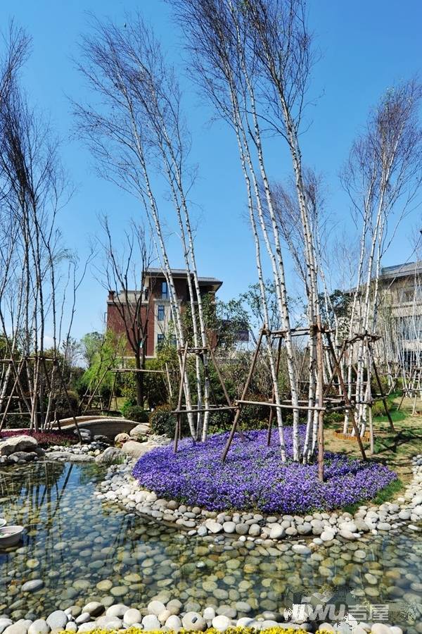 永威高新紫园实景图图片