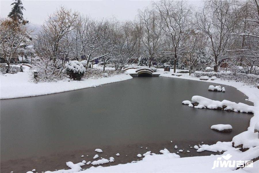 白鹿溪岸实景图图片