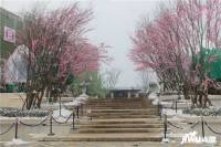 中海曲江大城实景图图片
