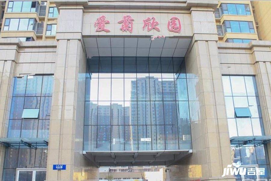 爱菊欣园实景图图片