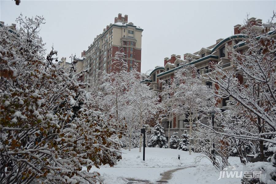 辰能溪树庭院（南区）实景图图片