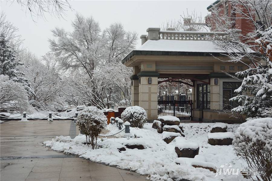 辰能溪树庭院（南区）实景图图片