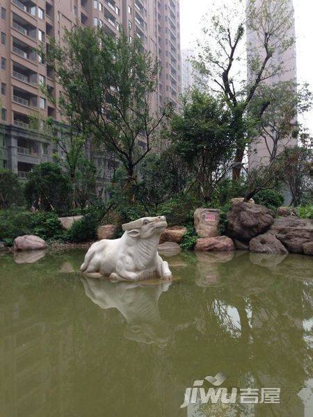 锦艺国际华都实景图图片