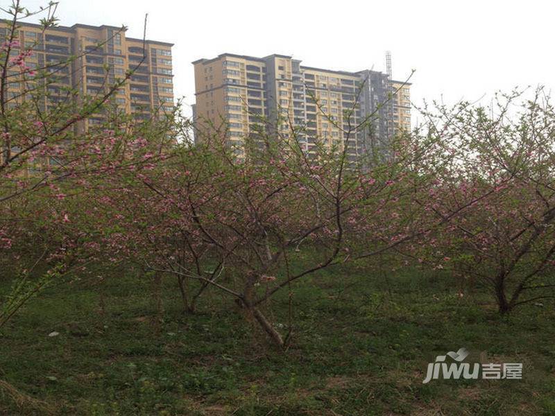 坤宇凯旋城实景图图片