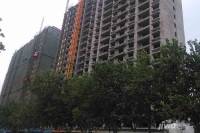 泰来怡居效果图