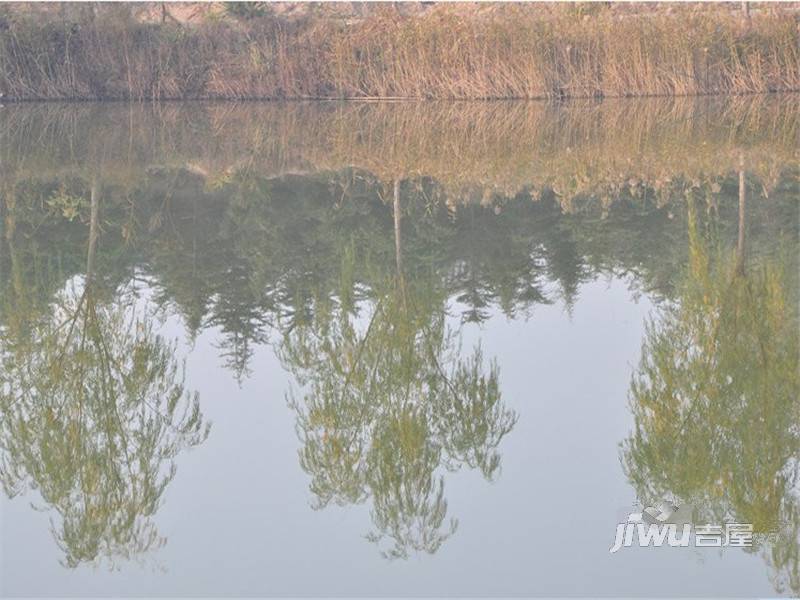 绿城雁鸣湖玫瑰园配套图图片