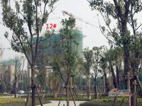 香开新城实景图图片