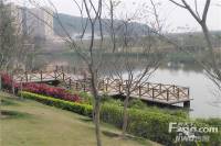 琴亭湖畔实景图图片