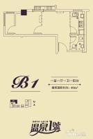 温泉壹号1室1厅1卫40㎡户型图