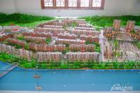 滨江世纪城实景图图片