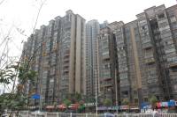凤岭名筑·香语郡实景图14