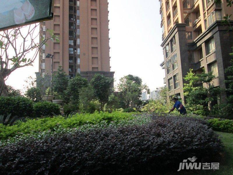 保利童心缘商铺实景图图片