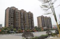 凤岭名筑·香语郡实景图14