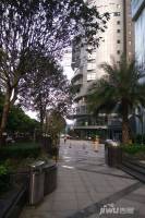 民歌湖1号实景图图片