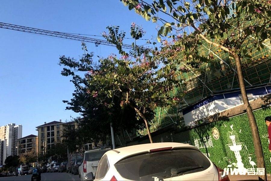 绿港爱尚里实景图图片