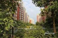 润华·尚城街区实景图图片