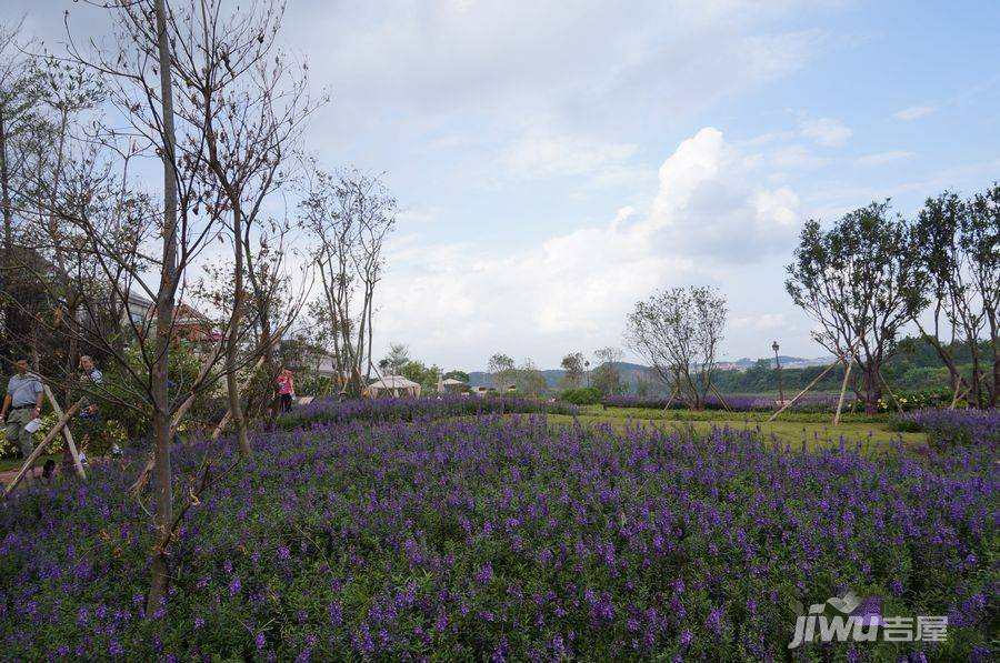 丰泽爱丽舍宫实景图图片