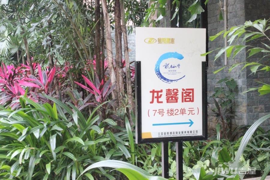 龙栖湾温泉花园实景图图片