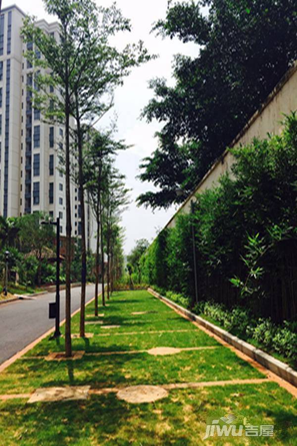 椰岛小城实景图图片