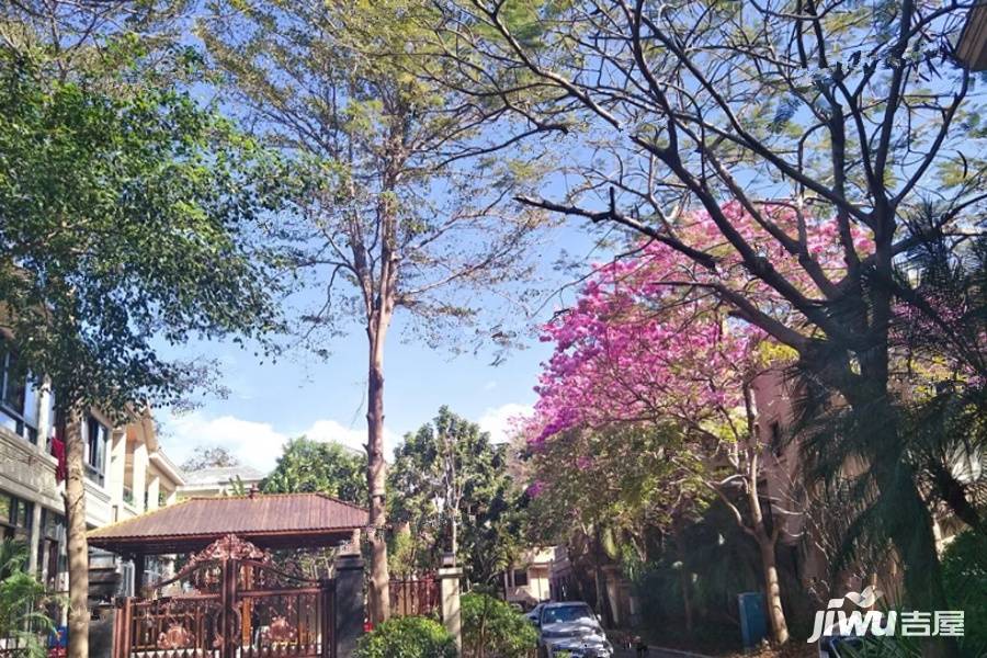 榕泉海蓝凤凰海岸楼盘详情，三亚房源最新价格与户型介绍