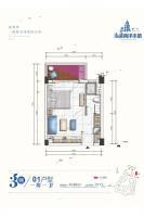 三正海棠南洋小镇1室1厅1卫43.6㎡户型图