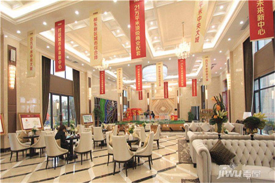 嘉鹏中央城再启复工计划，未来发展仍需关注