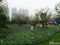 雨润梦立方实景图图片