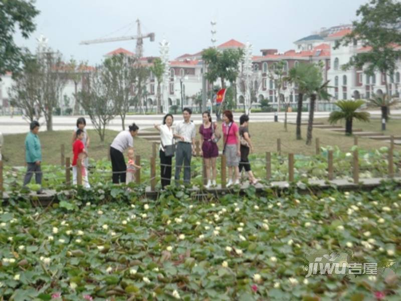 星湖湾配套图图片