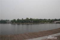 碧桂园·御湖半岛实景图图片