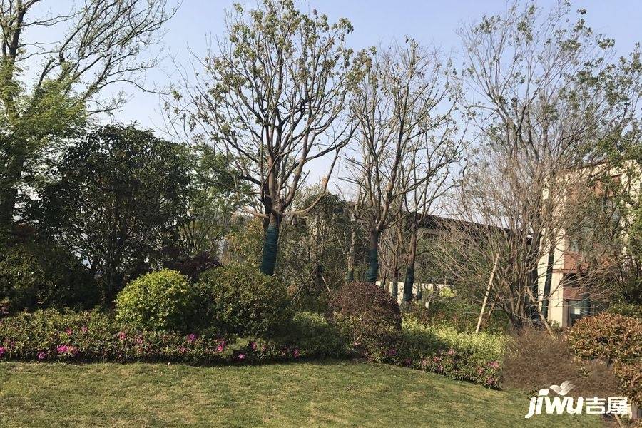 云樾东方实景图图片