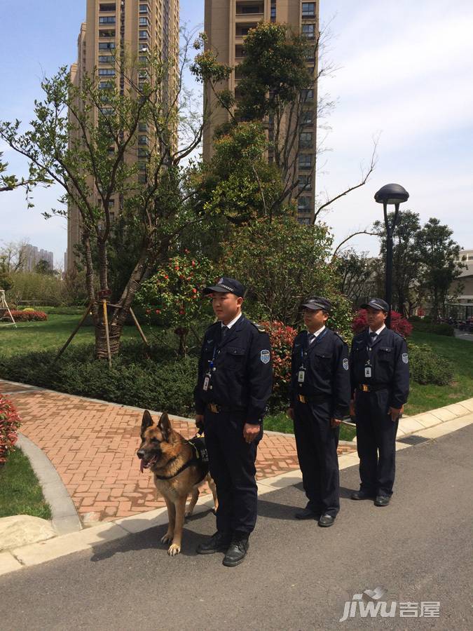 保利香槟国际实景图图片