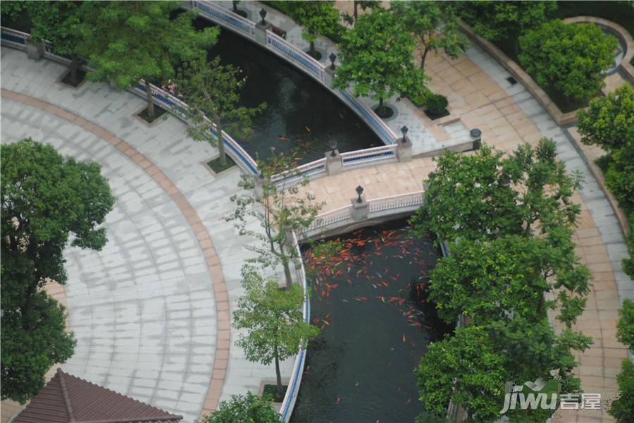 鼎威花园实景图图片