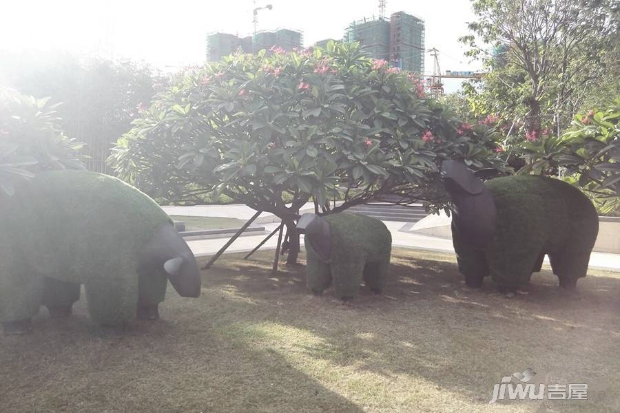 海投第一湾实景图图片