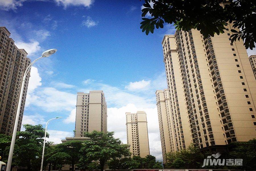 凤凰花城锦鲤实景图图片