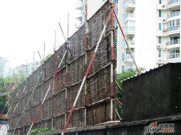 鹭江1号实景图图片