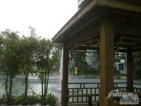怡康春城实景图图片