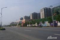 白洋淀·国际阳光城实景图图片