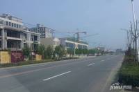 白洋淀·国际阳光城实景图图片