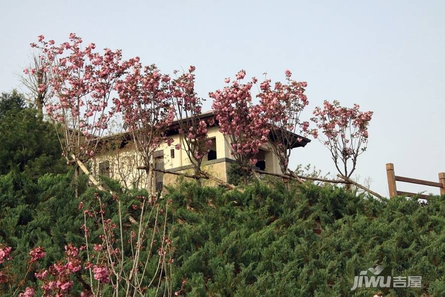 揽岳阅湖山实景图图片