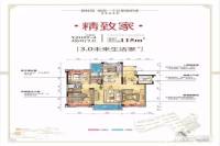 桂阳碧桂园3室2厅2卫115㎡户型图