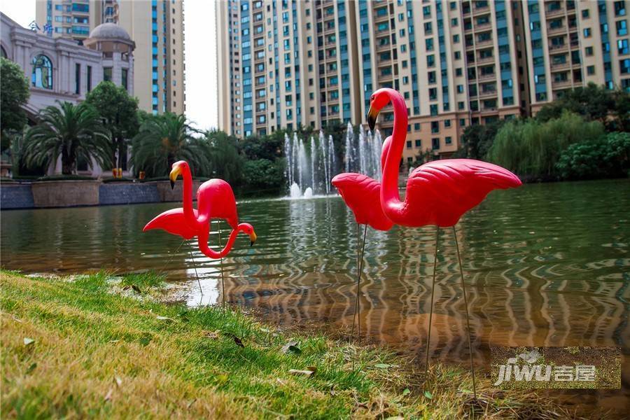 恒大绿洲实景图图片