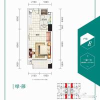 恒大绿洲1室0厅1卫51.5㎡户型图