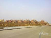 琥珀美墅实景图50