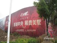 琥珀美墅实景图50