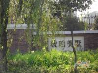 琥珀美墅实景图50