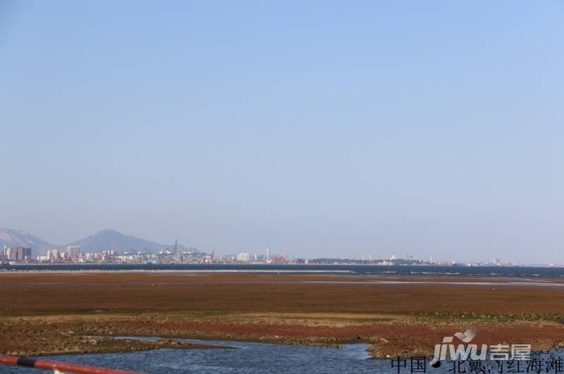 东南海32院别墅实景图图片