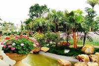 海湾尚景花园实景图图片
