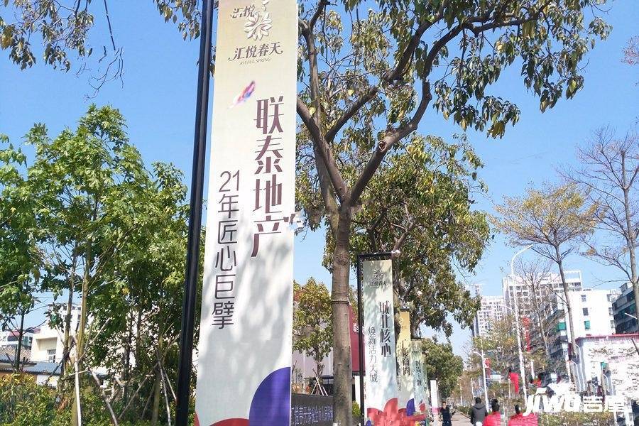 联泰汇悦春天花园三区实景图51