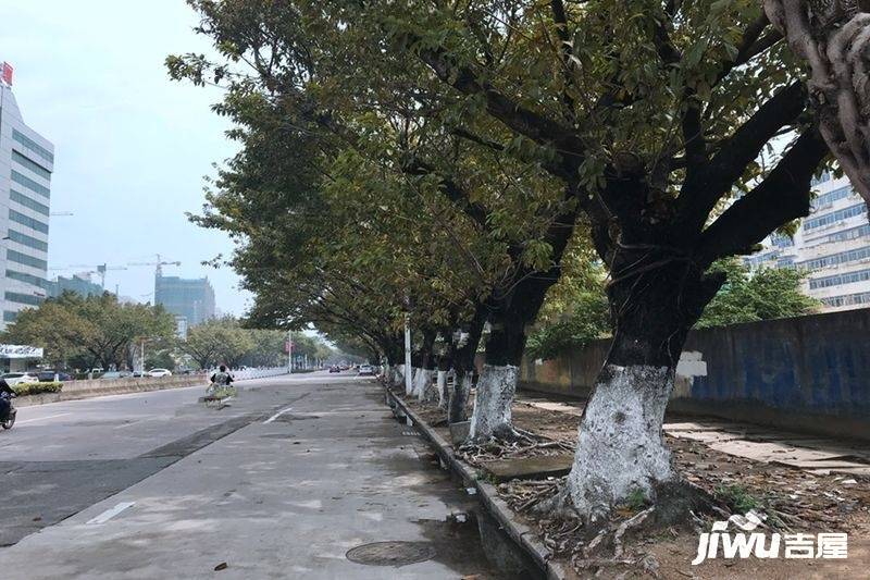 华澍黄河路实景图图片