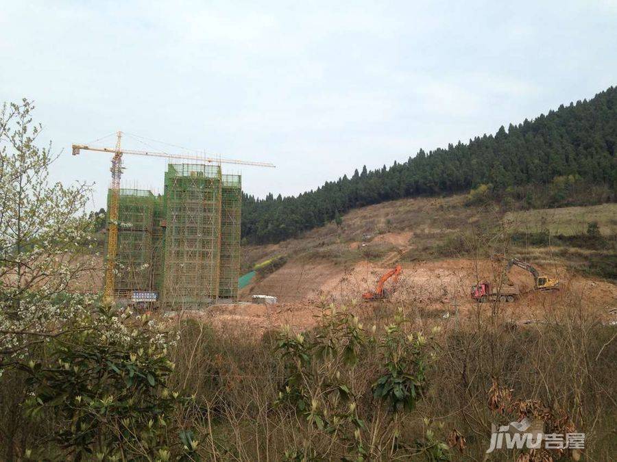 民生·梅香溪岸实景图图片